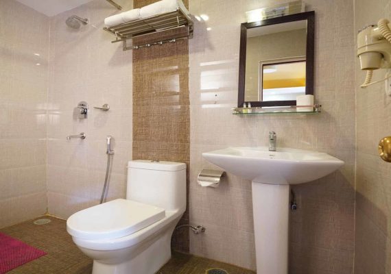 Deluxe Double or Twin Room With Balcony