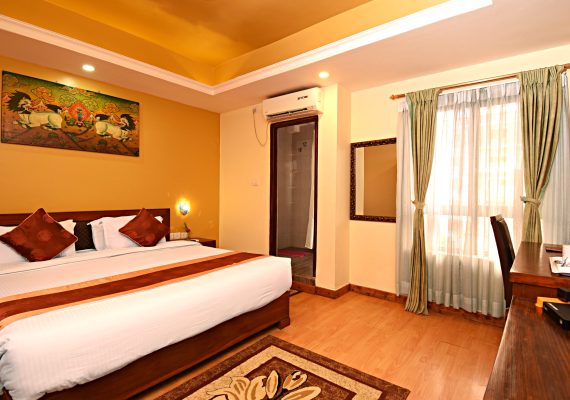 Deluxe Double or Twin Room