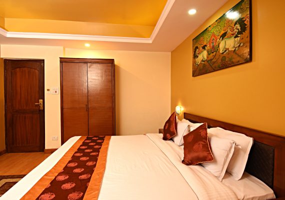 Deluxe Double or Twin Room
