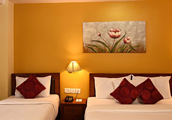 Deluxe Double or Twin Room